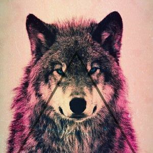 Meet your Posher, Hailey